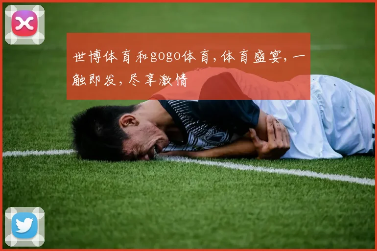 世博体育和gogo体育,体育盛宴,一触即发,尽享激情