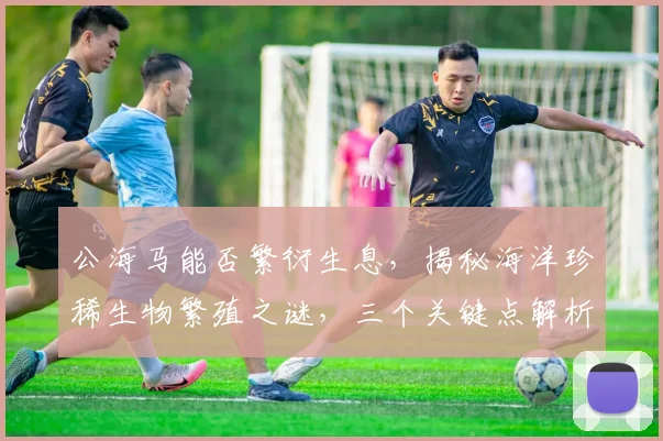 公海马能否繁衍生息，揭秘海洋珍稀生物繁殖之谜，三个关键点解析，不容错过