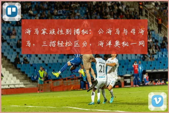 海马家族性别揭秘：公海马与母海马，三招轻松区分，海洋奥秘一网打尽，快来一探究竟